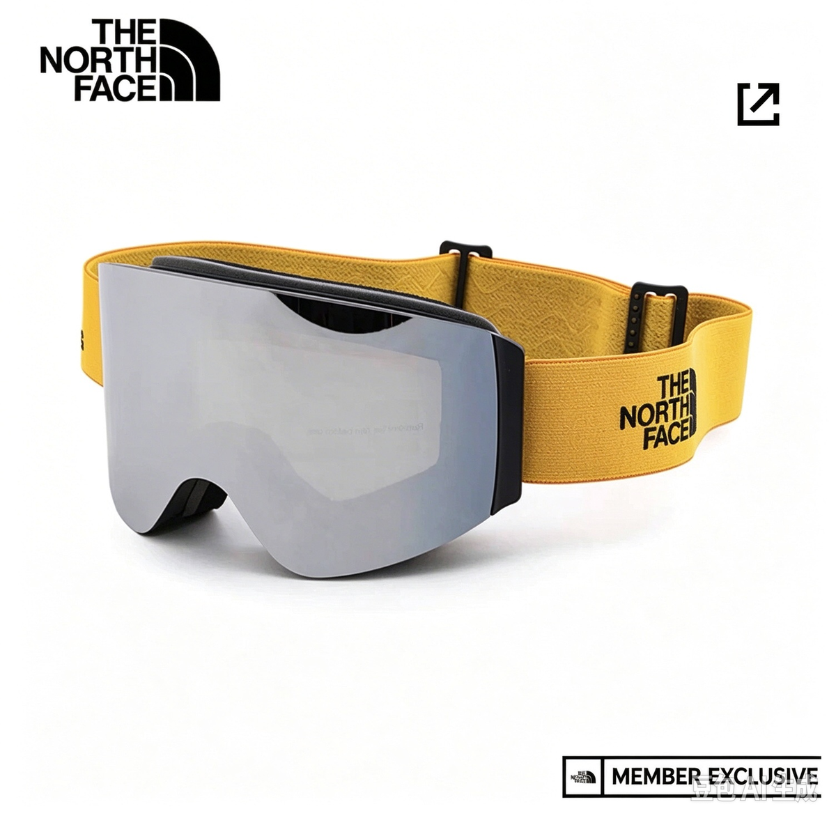 The North Face Ski Goggles with Pouch